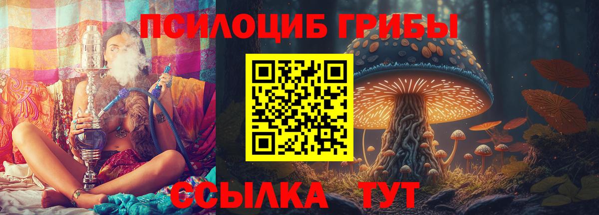 Псилоцибиновые грибы Psilocybe Шелехов