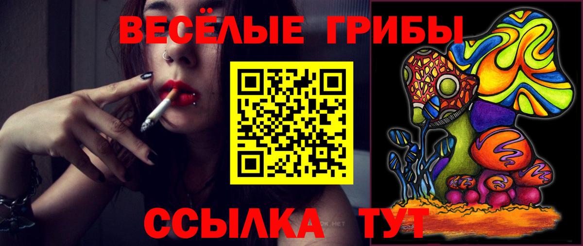 Шелехов  Галлюциногенные грибы MAGIC MUSHROOMS  цены наркотик  Галлюциногенные грибы ЛСД  Вход с VPN 