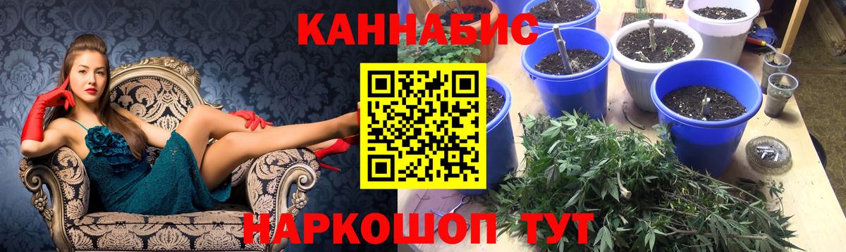 Бошки марихуана Amnesia Шелехов